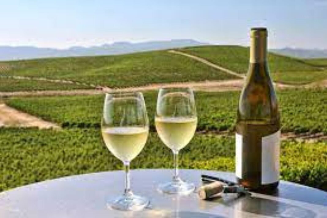 napa valley wine tours from san francisco